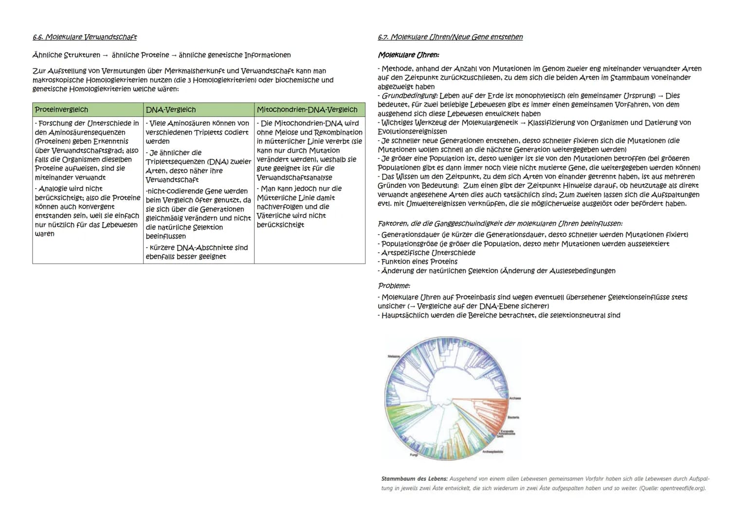 Abitur Zusammenfassung: Evolution
Themen:
1. Evolutionstheorien
1.1. Linné, Cuvier, Lamarck, Darwin
1.2. Synthetische Evolutionstheorie
2. A