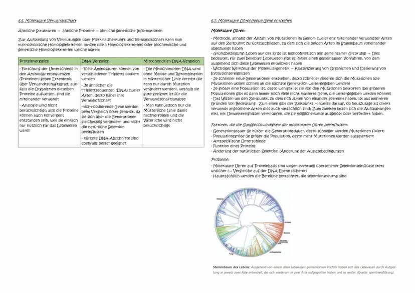 Abitur Zusammenfassung: Evolution
Themen:
1. Evolutionstheorien
1.1. Linné, Cuvier, Lamarck, Darwin
1.2. Synthetische Evolutionstheorie
2. A
