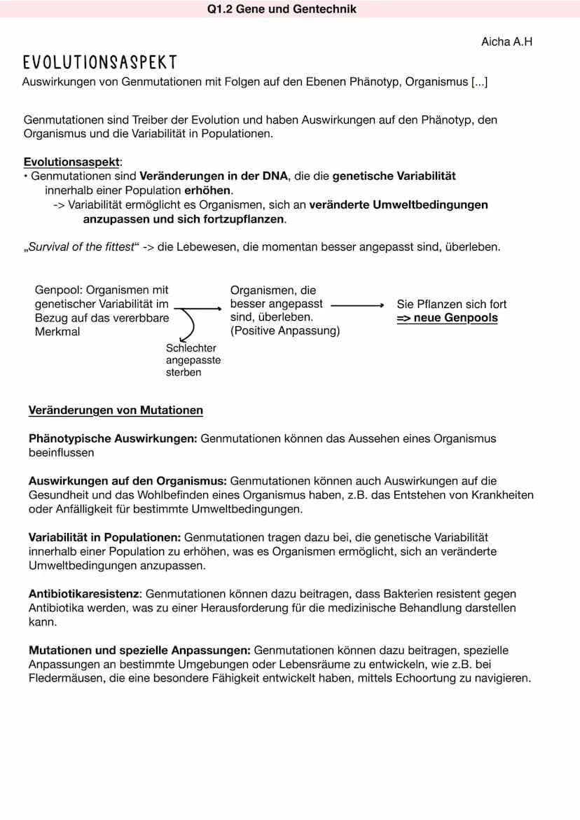 Genmutationen
Punktmutationen
Q1.2 Gene und Gentechnik
Genmutationen sind dauerhafte Veränderungen in der DNA-Sequenz eines Gens, die zu ein
