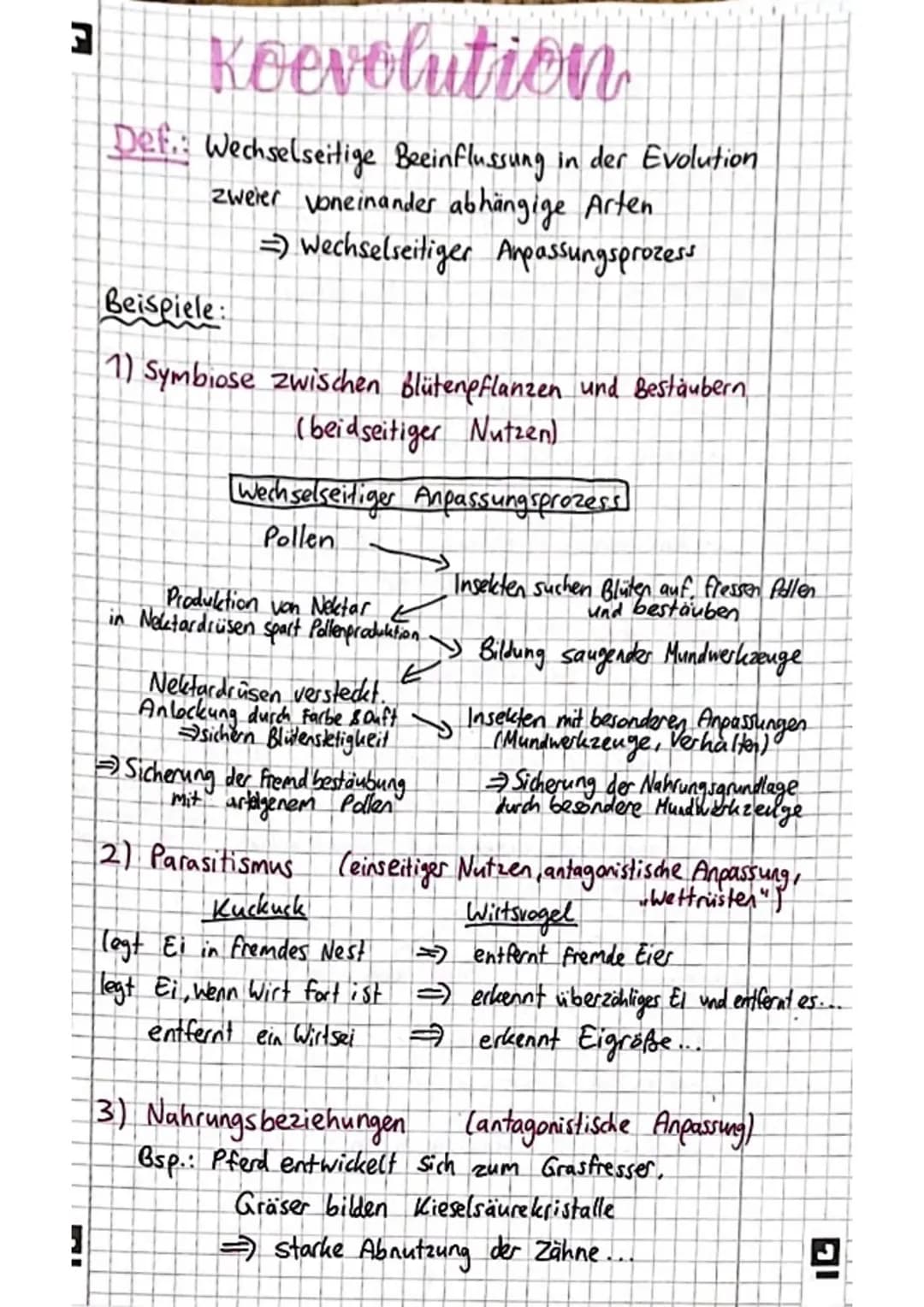 3
!
Koevolution
Def.: Wechselseitige Beeinflussung in der Evolution
zweier voneinander abhängige Arten.
=) Wechselseitiger Anpassungsprozess
