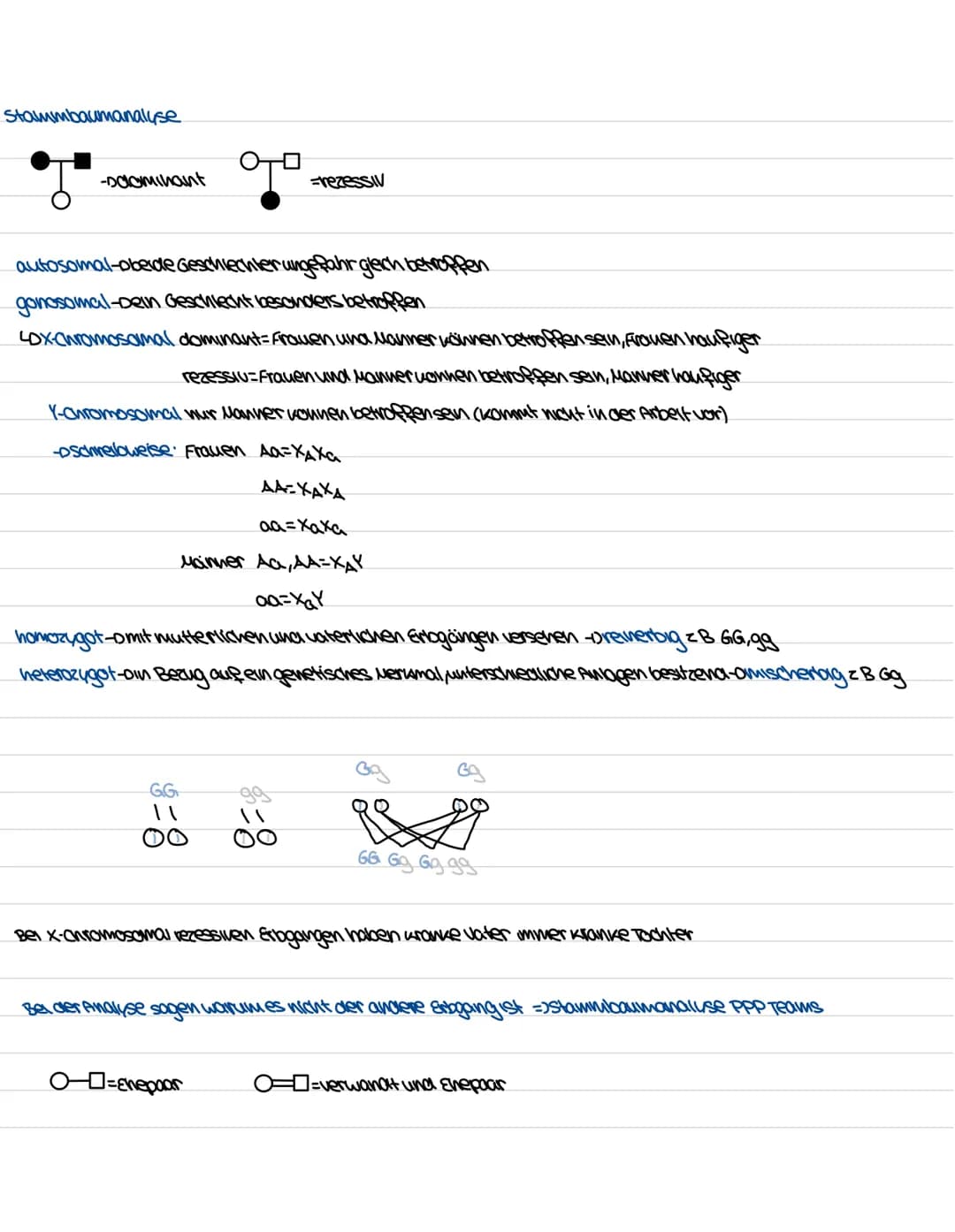 Biologie Genetiv
Aufbau und Funktion des Zellkerns
ER
kerwhulle
außere und
where
Membran
Uncleus
Chromatin
DUA
goden
Ribosom
kerupore
=>Komm