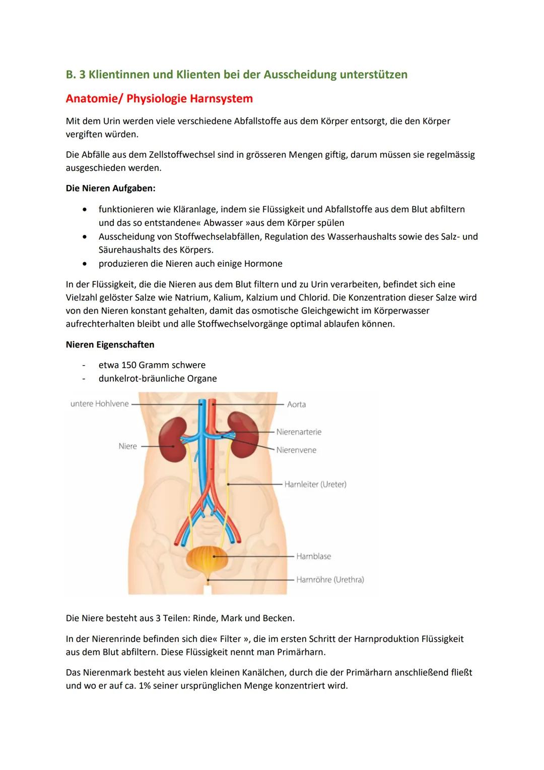 B. 3 Klientinnen und Klienten bei der Ausscheidung unterstützen

Anatomie/ Physiologie Harnsystem

Mit dem Urin werden viele verschiedene Ab