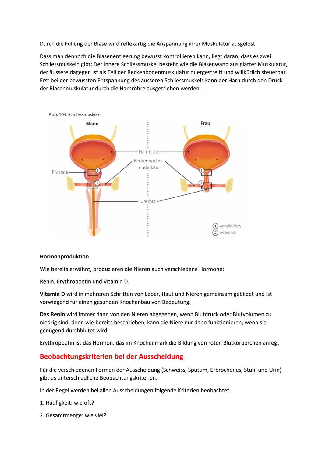 B. 3 Klientinnen und Klienten bei der Ausscheidung unterstützen

Anatomie/ Physiologie Harnsystem

Mit dem Urin werden viele verschiedene Ab