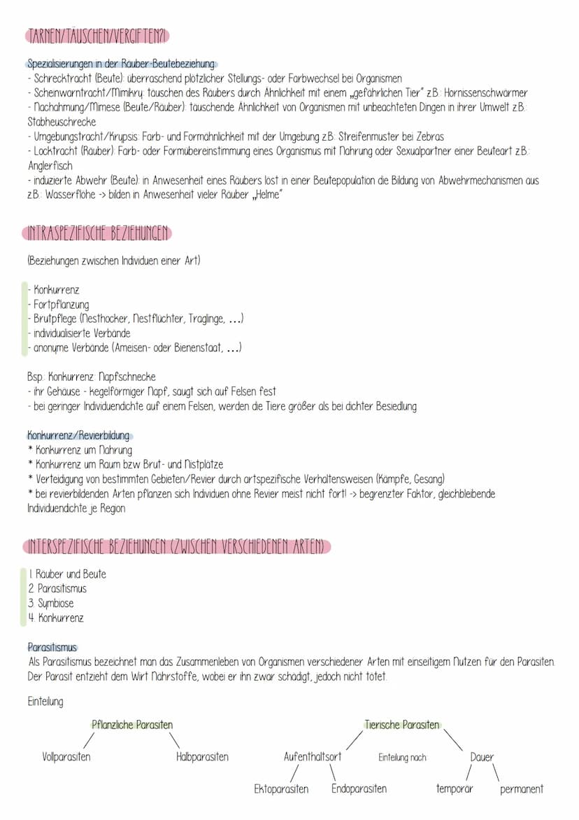 Ökologie
Grundbegriffe der Ökologie
abiotische Umweltfaktoren:
- Temperatur
- Licht
- Wasser
Gase
pH-Wert
biotische Umweltfaktoren:
-> Lebew