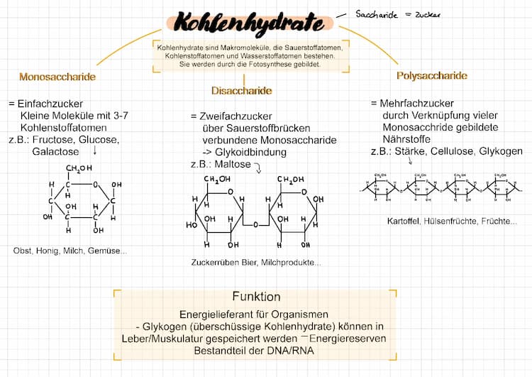 Know Kohlenhydrate  thumbnail