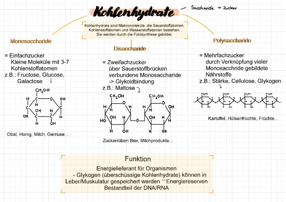 Kohlenhydrate 