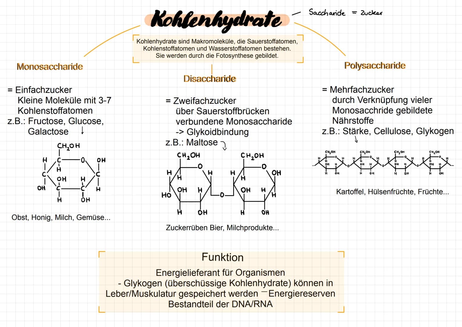 Monosaccharide
= Einfachzucker
Kleine Moleküle mit 3-7
Kohlenstoffatomen
z.B.: Fructose, Glucose,
Galactose ↓
H
OH
CH₂OH
C
H
·0 OH
OH H
H
·C