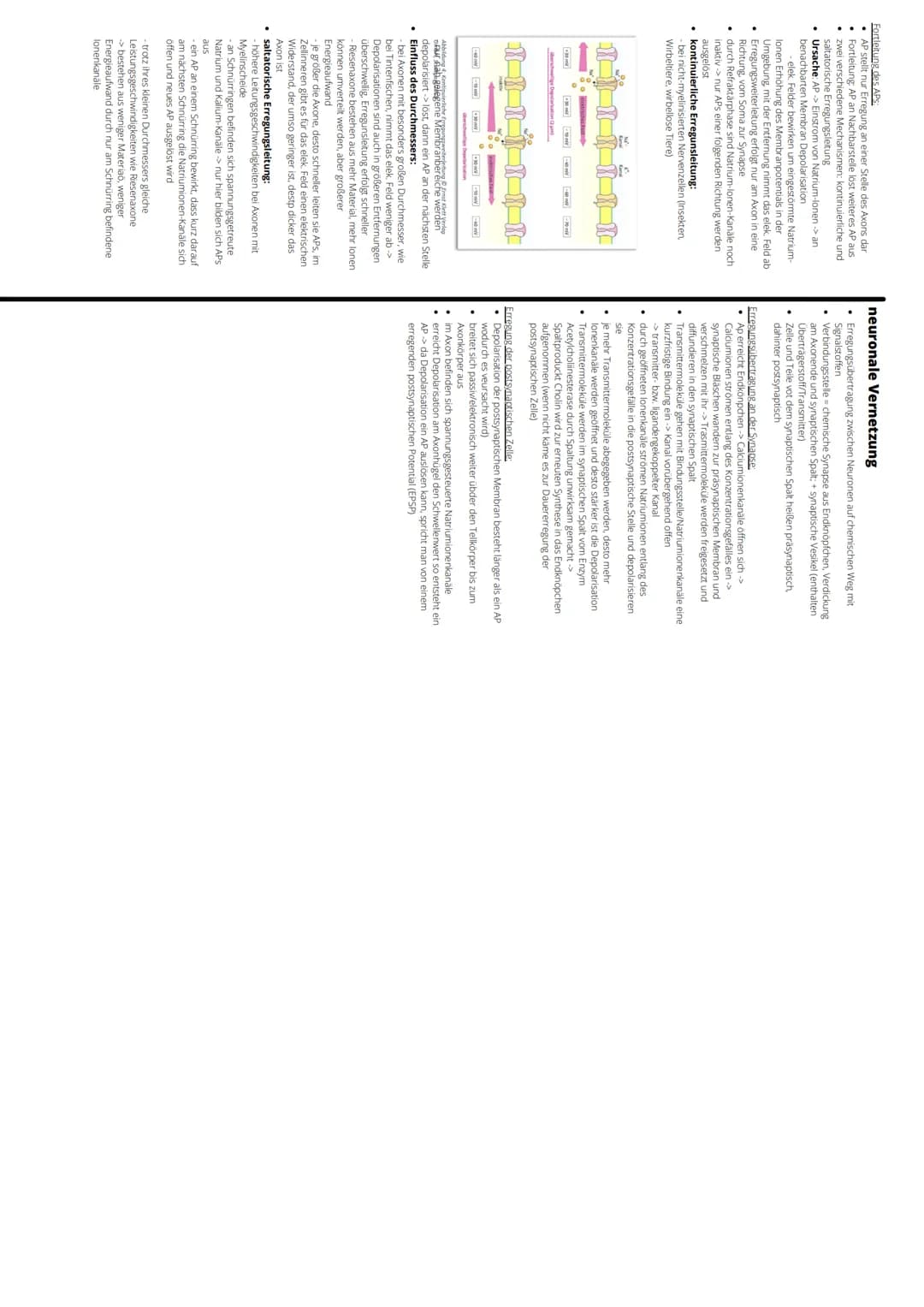 
<p>Das Reiz-Reaktions-Modell ist ein wichtiger Bestandteil der Verhaltenspsychologie. Es beschreibt, wie ein Organismus auf Reize aus der U