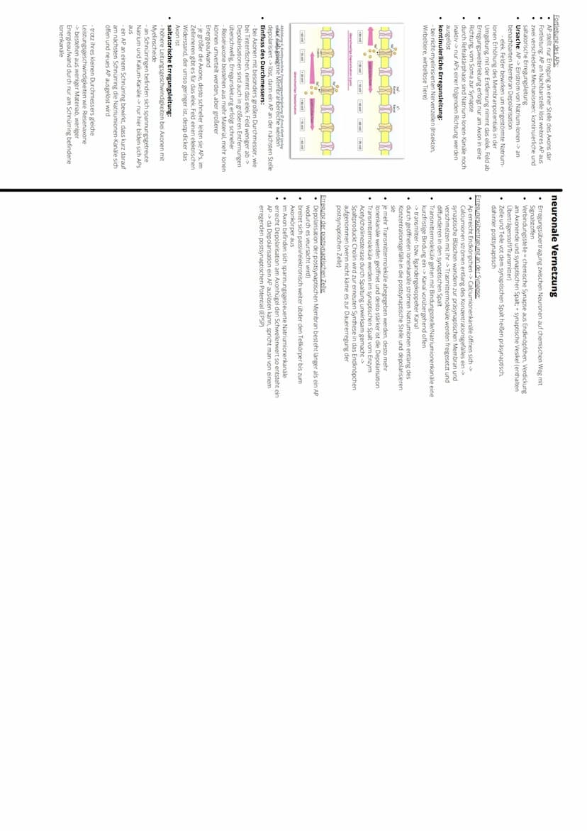 
<p>Das Reiz-Reaktions-Modell ist ein wichtiger Bestandteil der Verhaltenspsychologie. Es beschreibt, wie ein Organismus auf Reize aus der U