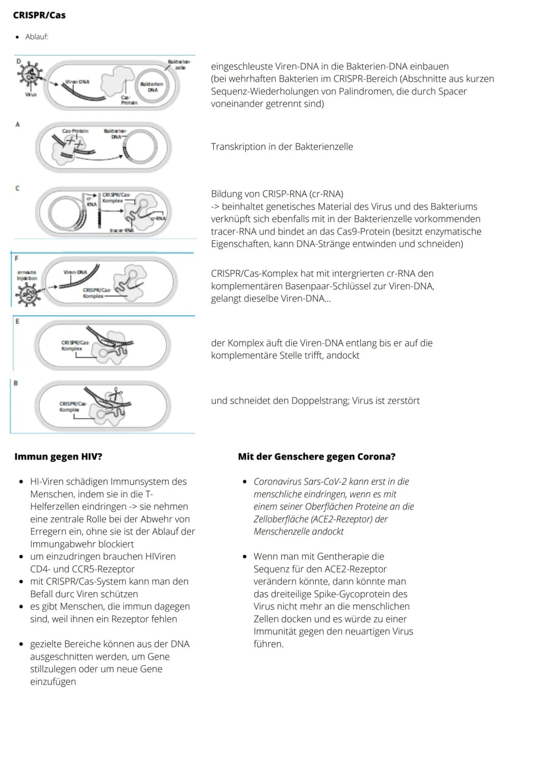 
<p>Das Reiz-Reaktions-Modell ist ein wichtiger Bestandteil der Verhaltenspsychologie. Es beschreibt, wie ein Organismus auf Reize aus der U