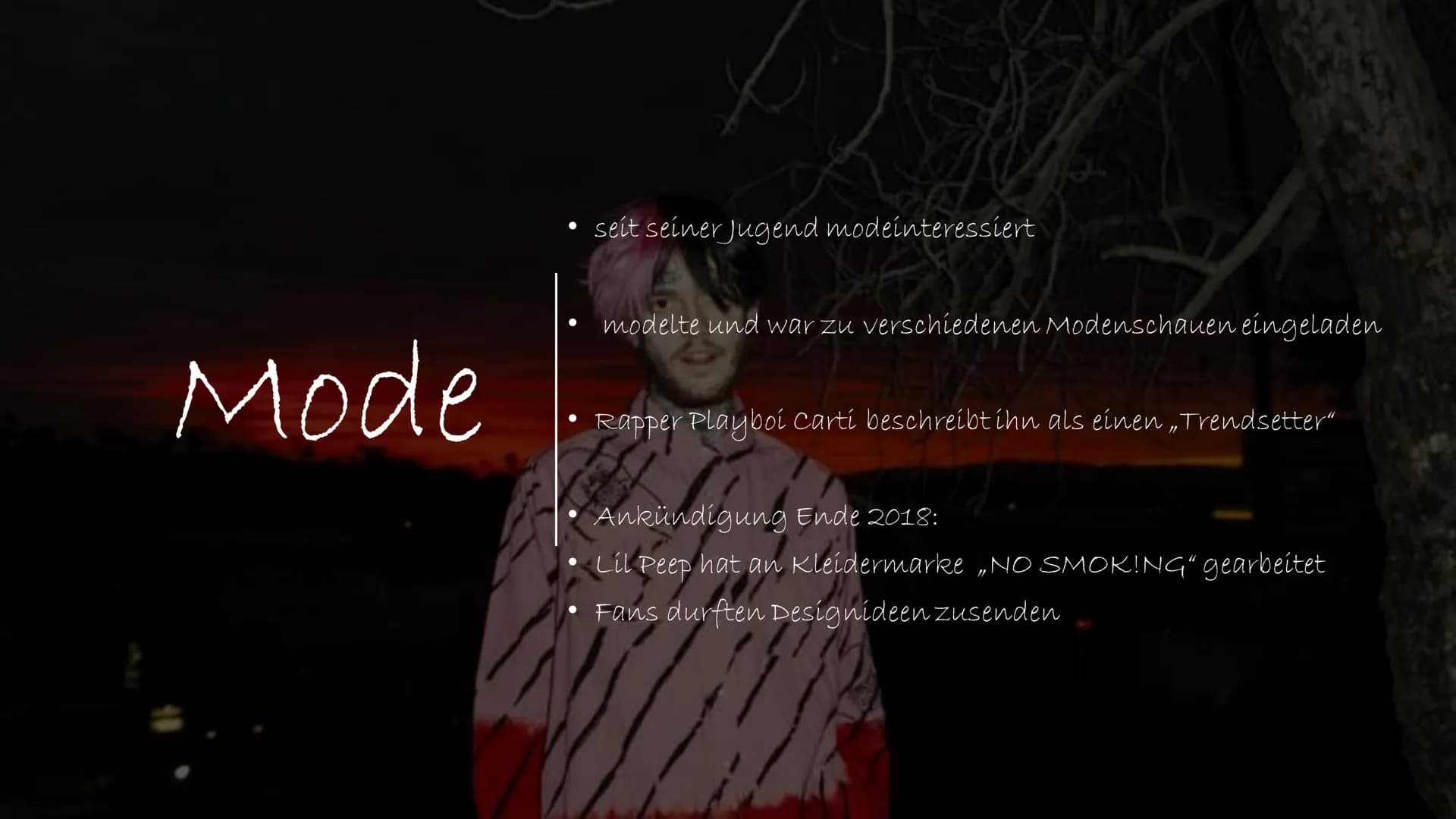 LIL PEEP
印
→ zur Person & Leben:
LIL PEEP - bürgerlich Gustav Elijah Åhr
* 1. November 1996 in Allentown, Pennsylvania
15. November 2017 in 