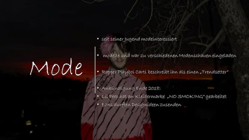 LIL PEEP
印
→ zur Person & Leben:
LIL PEEP - bürgerlich Gustav Elijah Åhr
* 1. November 1996 in Allentown, Pennsylvania
15. November 2017 in 