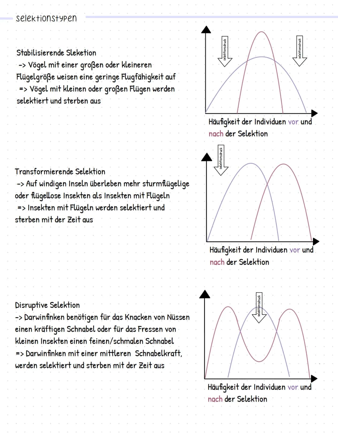 Evolution
stammesgeschichtliche Entwicklung und Veränderung der Lebewesen, von ihrer Entstehung bis
zu ihrer heutigen Vielfalt
darwins evolu