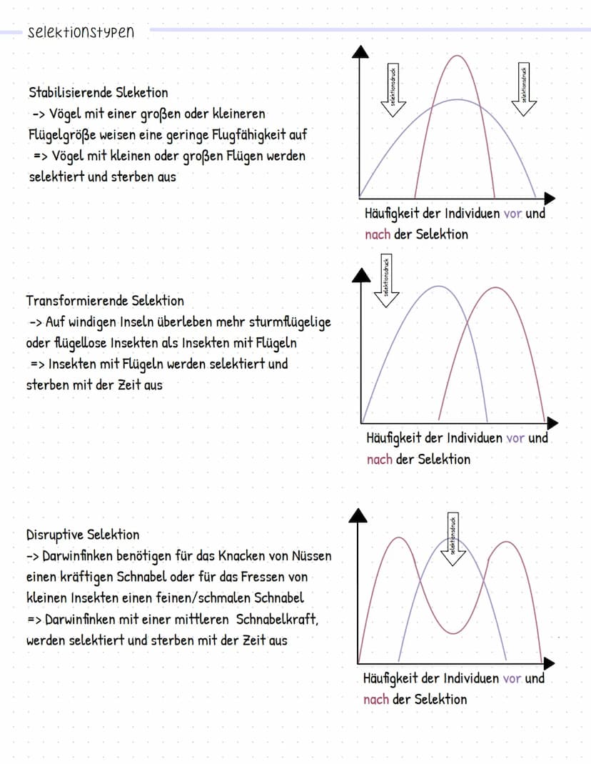 Evolution
stammesgeschichtliche Entwicklung und Veränderung der Lebewesen, von ihrer Entstehung bis
zu ihrer heutigen Vielfalt
darwins evolu