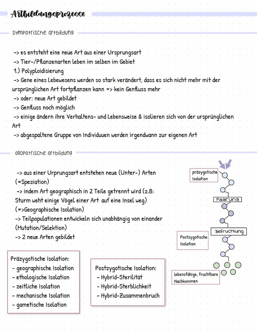 Evolution
stammesgeschichtliche Entwicklung und Veränderung der Lebewesen, von ihrer Entstehung bis
zu ihrer heutigen Vielfalt
darwins evolu