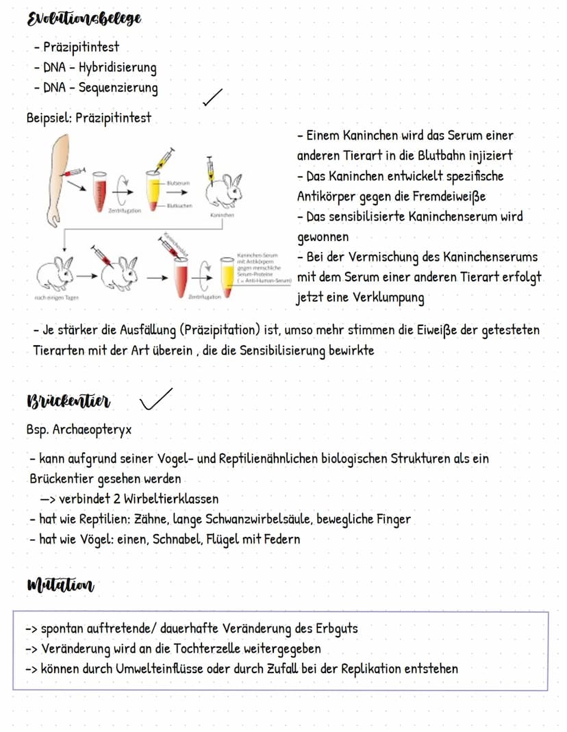 Evolution
stammesgeschichtliche Entwicklung und Veränderung der Lebewesen, von ihrer Entstehung bis
zu ihrer heutigen Vielfalt
darwins evolu