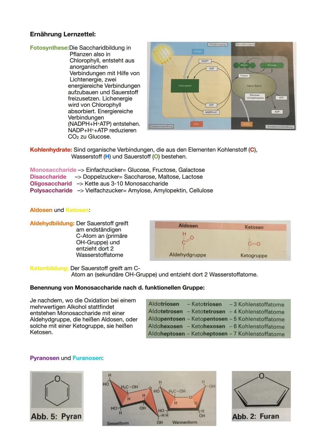 Ernährung Lernzettel:
Fotosynthese: Die Saccharidbildung in
Pflanzen also in
Chlorophyll, entsteht aus
anorganischen
Verbindungen mit Hilfe 