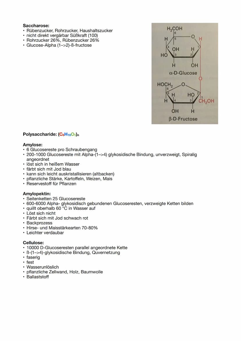 Ernährung Lernzettel:
Fotosynthese: Die Saccharidbildung in
Pflanzen also in
Chlorophyll, entsteht aus
anorganischen
Verbindungen mit Hilfe 
