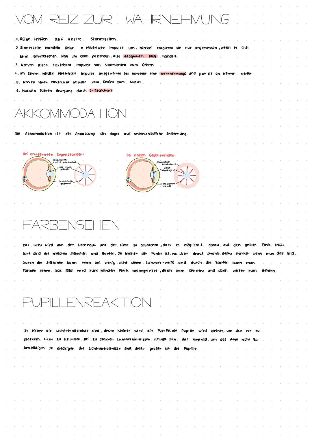 Bezeichnung
Netzhaut
Glaskörper
Sengrube (gelber Fleck)
Blinder Fleck
Sehnerv
Adernaut
Lederhaut
Horn haut
Regenbogen haut (iris)
Linse
Lins