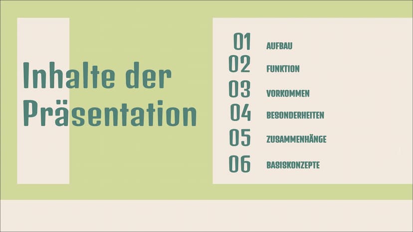 Dictyosom(e)
Golgi-
Apparat(e)
Doreen Boch, Anna Steinbusch
tt
ZELLE Aufbau
4-10 flache, tellerförmige
Hohlräume (Zisternen)
von einer Membr