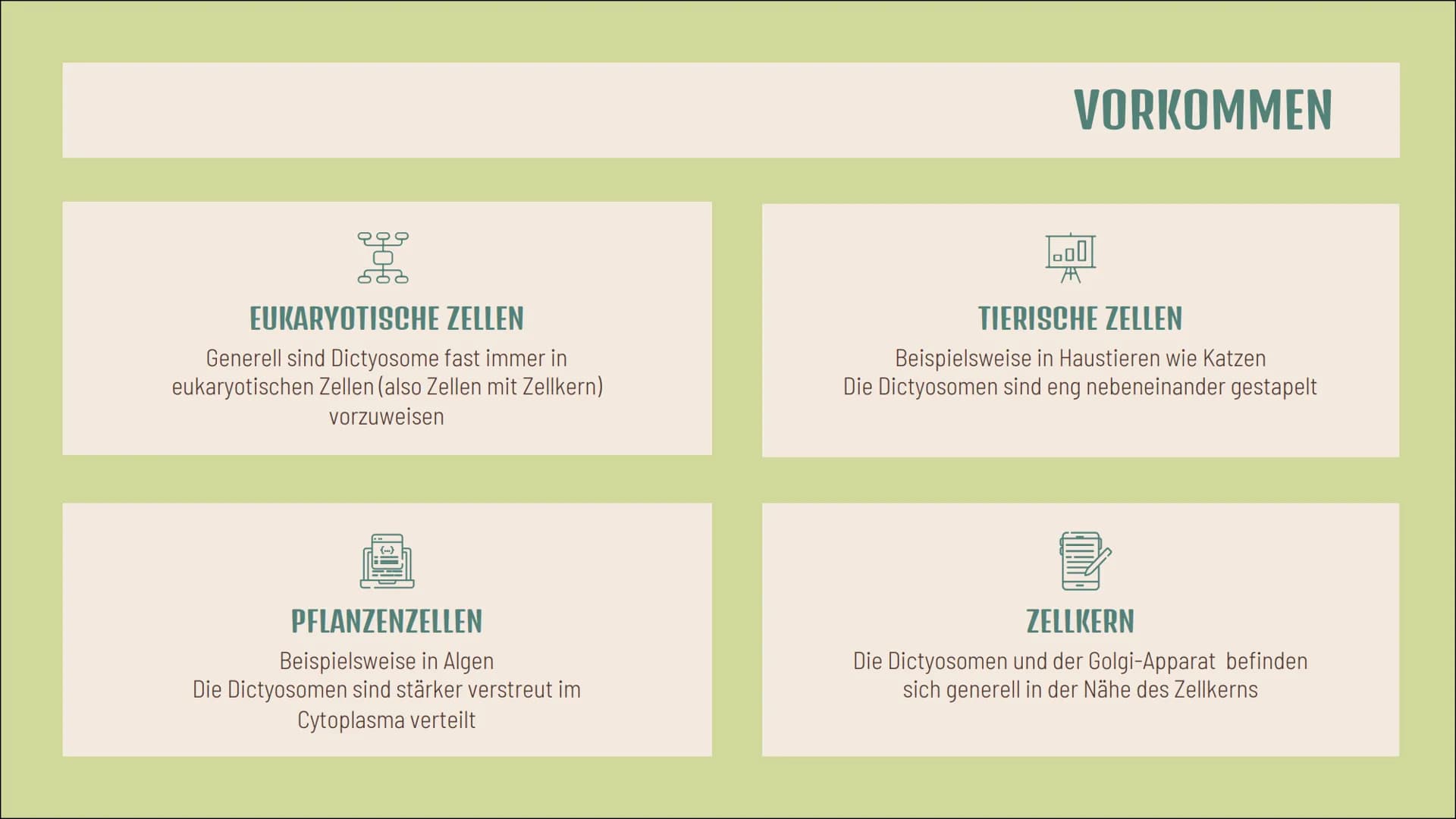 Dictyosom(e)
Golgi-
Apparat(e)
Doreen Boch, Anna Steinbusch
tt
ZELLE Aufbau
4-10 flache, tellerförmige
Hohlräume (Zisternen)
von einer Membr