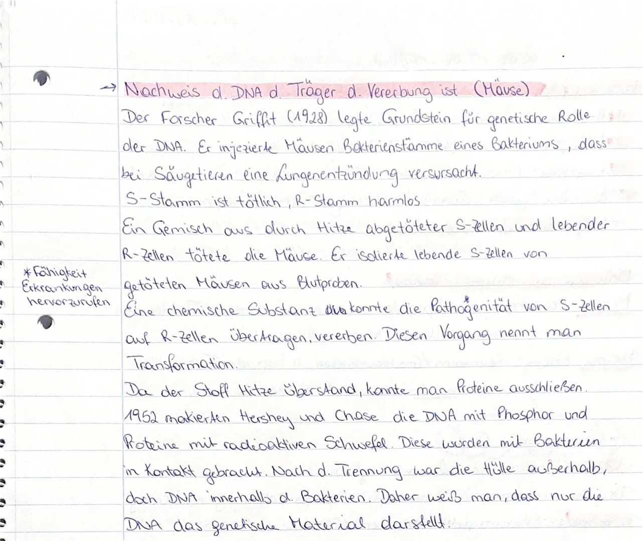 DNA
Aussehen: wie eine Strickleiter aufgebaut. Sprossen dieser Leiter
Basen: Adenin (A), Thymin (T), Cytosin (C) und
Guanin (G). DNA befinde