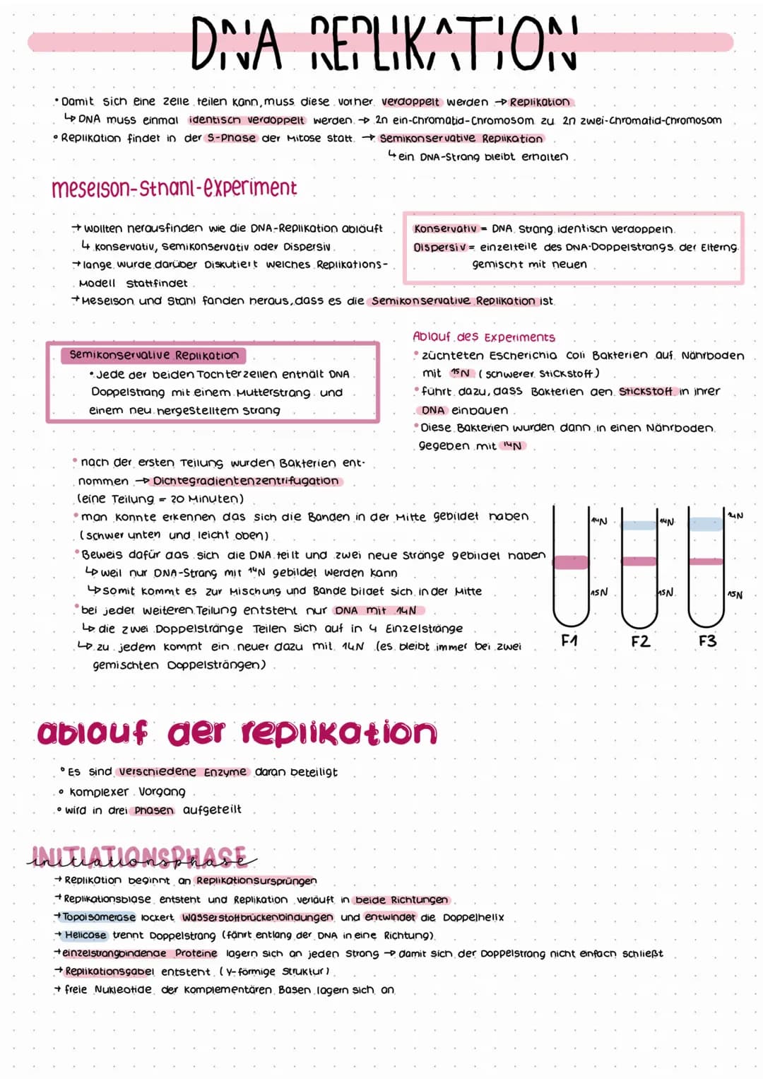 DNA REPLIKATION
Damit sich eine zelle teilen kann, muss diese vorher verdoppelt werden → Replikation
↳ DNA muss einmal identisch verdoppelt 