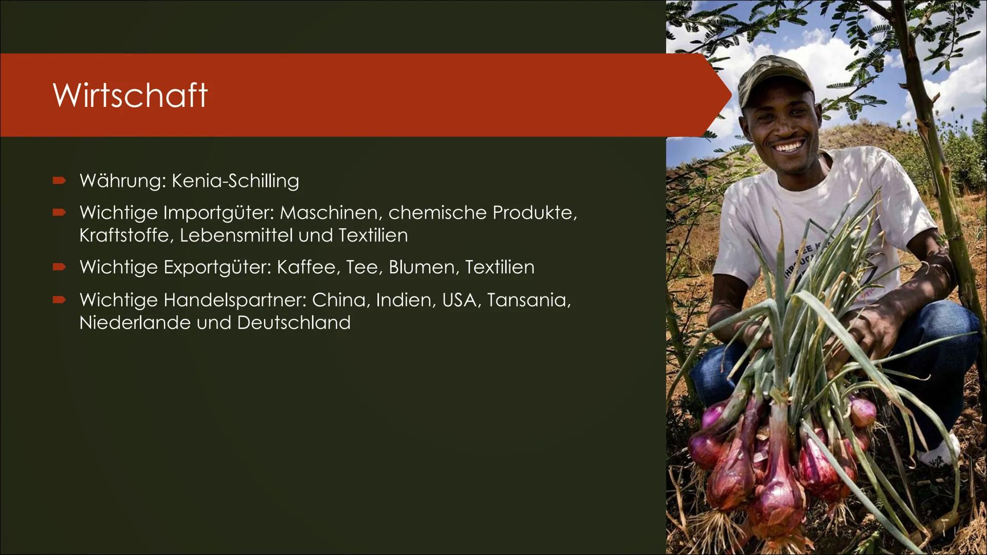 Kenia Gliederung
➡ Allgemeine Fakten
➡ Geographisch
Bevölkerung
➡ Geschichte
➡ Kultur
➡ Politik & Wirtschaft
➡ Tourismus
► Sehenswürdigkeite