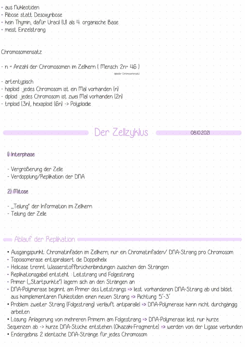 Bau der DNA:
-
Doppelhelix
aufgebaut aus nukleotiden
4 verschiedene Basen
-> Adenin Thymin
Guanin Cytosin
- komplementär angeordnet: A-T G=C