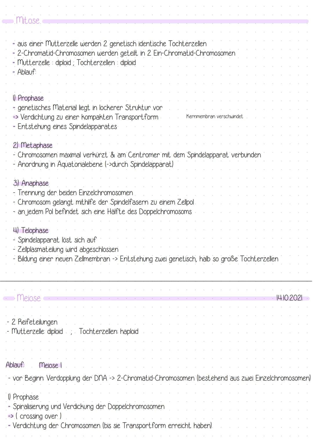 Bau der DNA:
-
Doppelhelix
aufgebaut aus nukleotiden
4 verschiedene Basen
-> Adenin Thymin
Guanin Cytosin
- komplementär angeordnet: A-T G=C