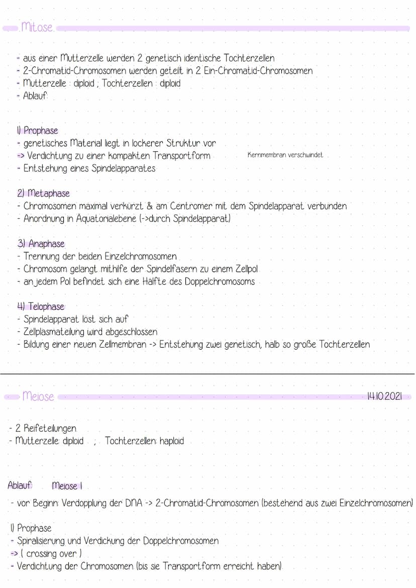 Bau der DNA:
-
Doppelhelix
aufgebaut aus nukleotiden
4 verschiedene Basen
-> Adenin Thymin
Guanin Cytosin
- komplementär angeordnet: A-T G=C