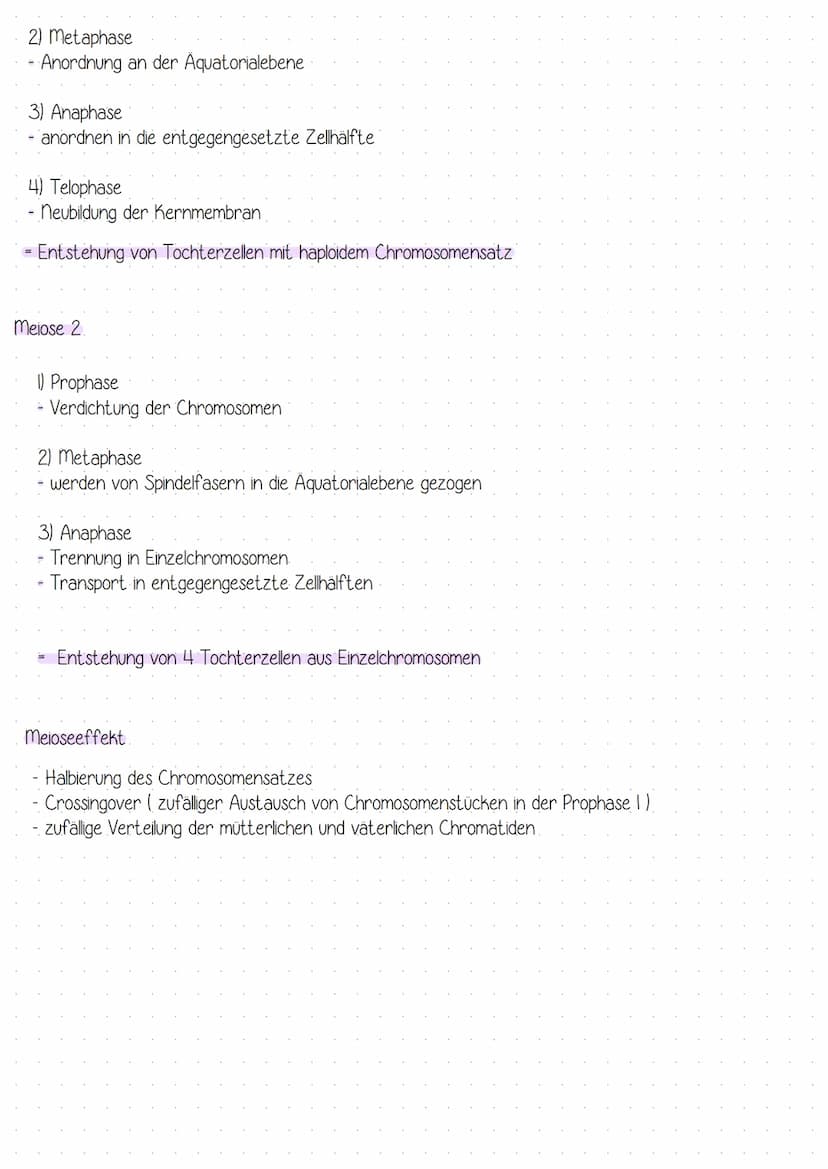 Bau der DNA:
-
Doppelhelix
aufgebaut aus nukleotiden
4 verschiedene Basen
-> Adenin Thymin
Guanin Cytosin
- komplementär angeordnet: A-T G=C