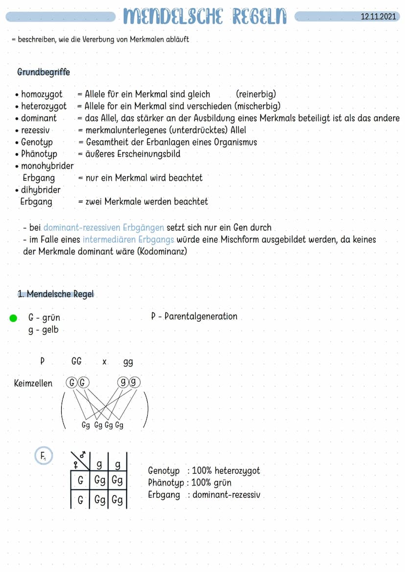 Bau der DNA:
-
Doppelhelix
aufgebaut aus nukleotiden
4 verschiedene Basen
-> Adenin Thymin
Guanin Cytosin
- komplementär angeordnet: A-T G=C