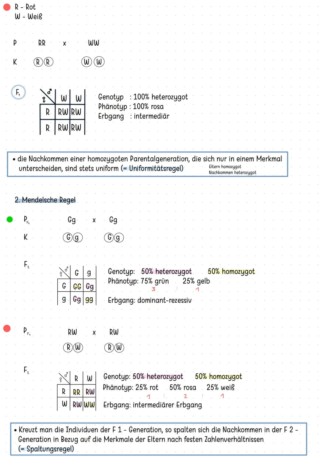 Bau der DNA:
-
Doppelhelix
aufgebaut aus nukleotiden
4 verschiedene Basen
-> Adenin Thymin
Guanin Cytosin
- komplementär angeordnet: A-T G=C