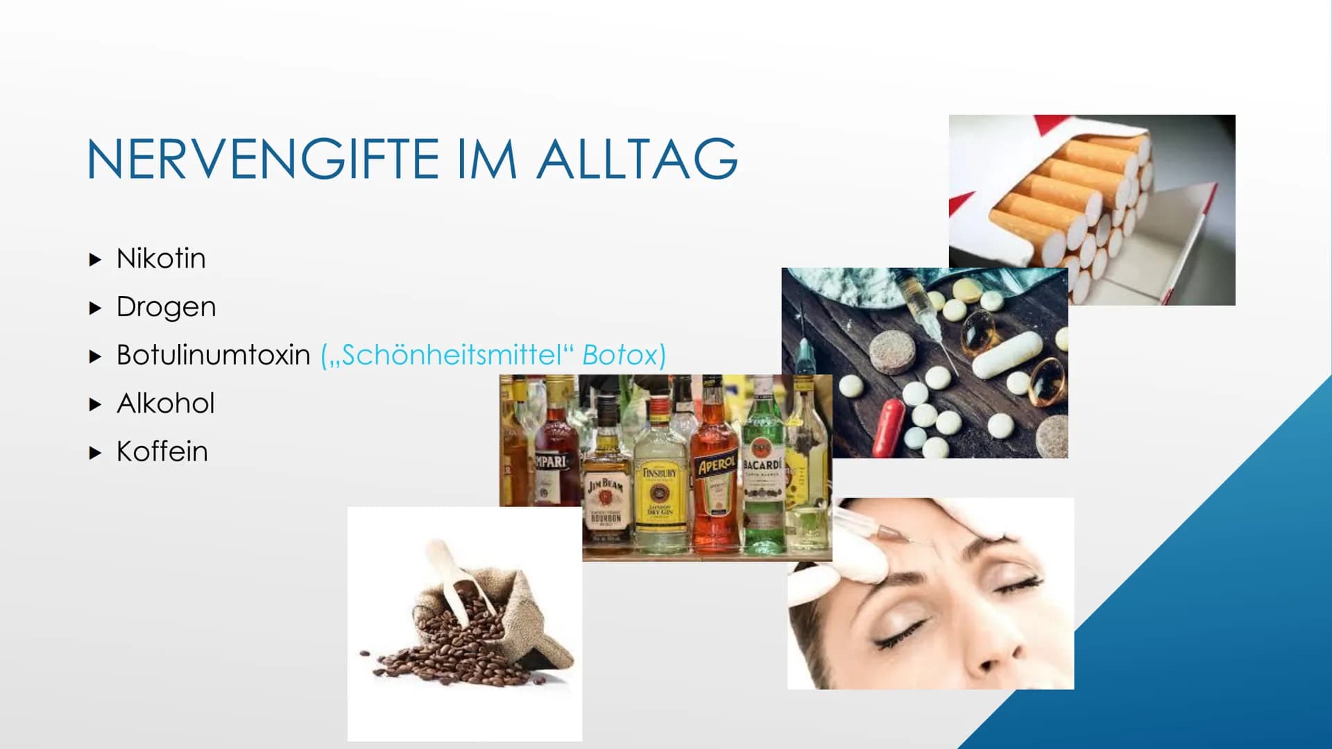 L
Nervengifte
Biologie GFS von Ayleen Poppe
Crt GLIEDERUNG
▸ Einstieg
▸ Definition Nervengifte
► Wirkungsweise von Nervengiften
▸ Nervengift