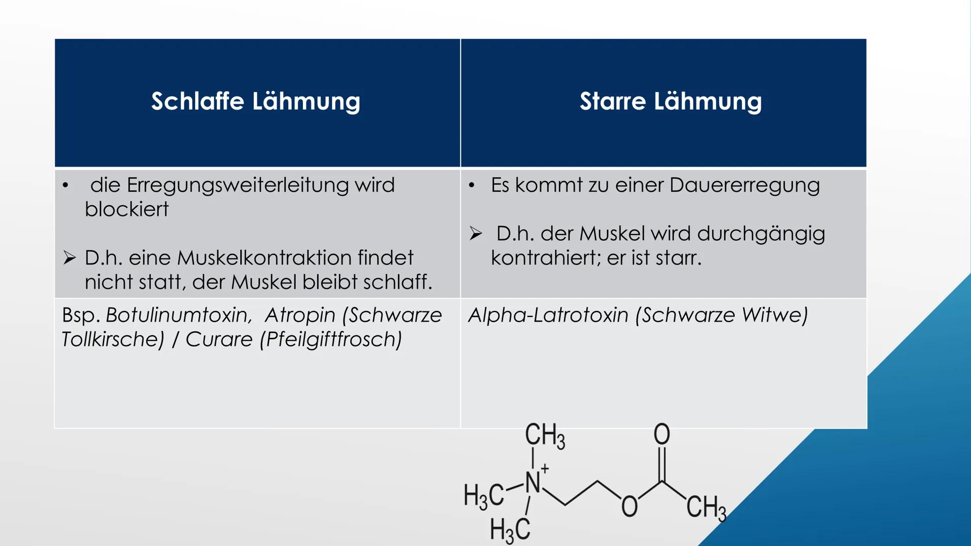 L
Nervengifte
Biologie GFS von Ayleen Poppe
Crt GLIEDERUNG
▸ Einstieg
▸ Definition Nervengifte
► Wirkungsweise von Nervengiften
▸ Nervengift