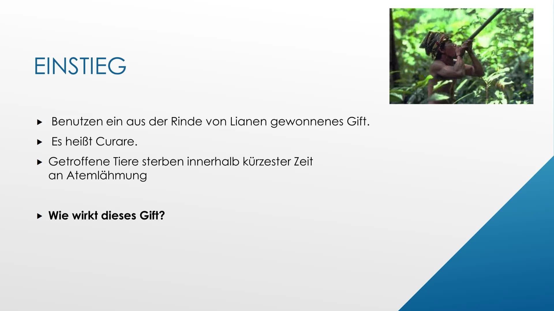 L
Nervengifte
Biologie GFS von Ayleen Poppe
Crt GLIEDERUNG
▸ Einstieg
▸ Definition Nervengifte
► Wirkungsweise von Nervengiften
▸ Nervengift