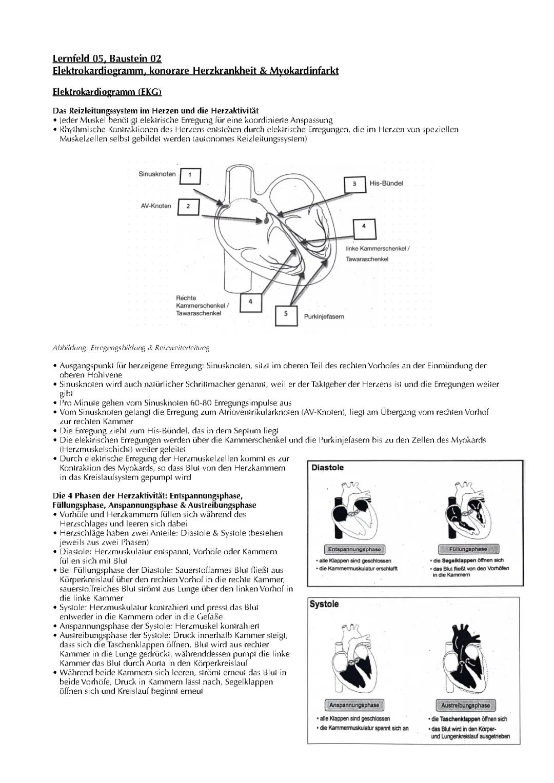EKG, Myokardinfarkt & Koronare Herzkrankheit (KHK)