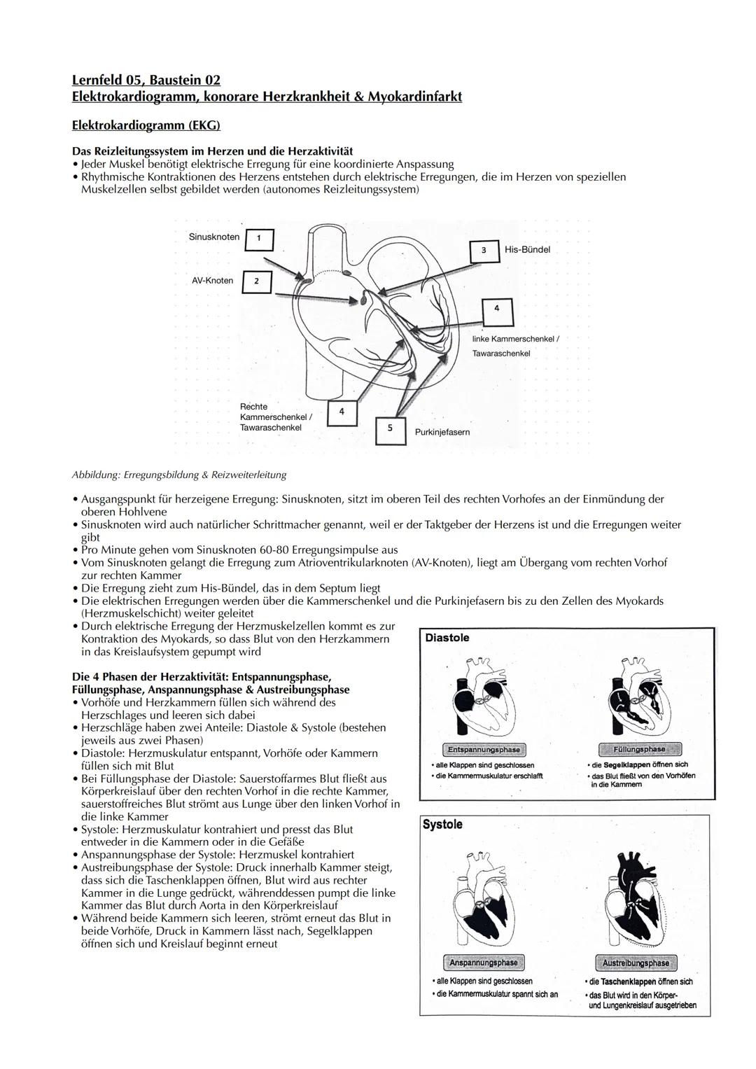 Lernfeld 05, Baustein 02
Elektrokardiogramm, konorare Herzkrankheit & Myokardinfarkt
Elektrokardiogramm (EKG)
Das Reizleitungssystem im Herz