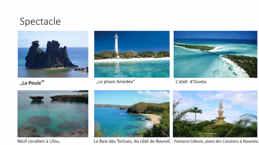 Nouvelle-Calédonie
grotesker Stil Enquête
en général
La geographie
Le habitant
●
• spectacles En général
Nouvelle-Calédonie est un Pays de F