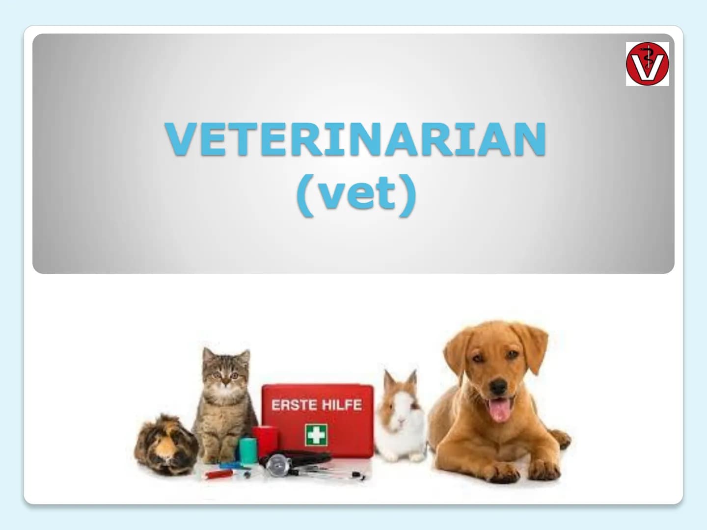 VETERINARIAN
(vet)
ERSTE HILFE tasks
where they do it
every day life
clothes
salary
requirements
university education
CONTENTS
THEME
LAYER
1