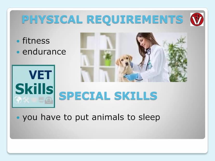 VETERINARIAN
(vet)
ERSTE HILFE tasks
where they do it
every day life
clothes
salary
requirements
university education
CONTENTS
THEME
LAYER
1