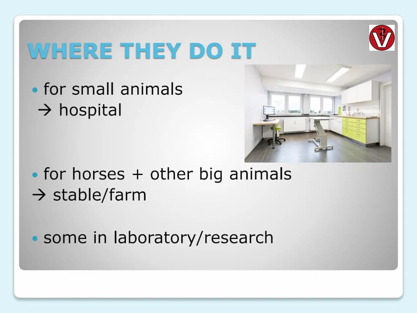 VETERINARIAN
(vet)
ERSTE HILFE tasks
where they do it
every day life
clothes
salary
requirements
university education
CONTENTS
THEME
LAYER
1