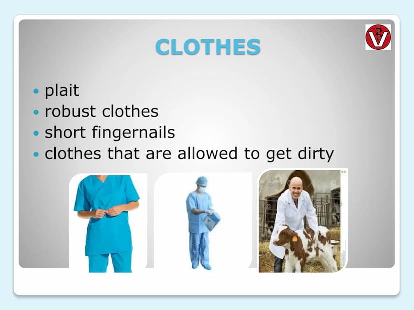 VETERINARIAN
(vet)
ERSTE HILFE tasks
where they do it
every day life
clothes
salary
requirements
university education
CONTENTS
THEME
LAYER
1