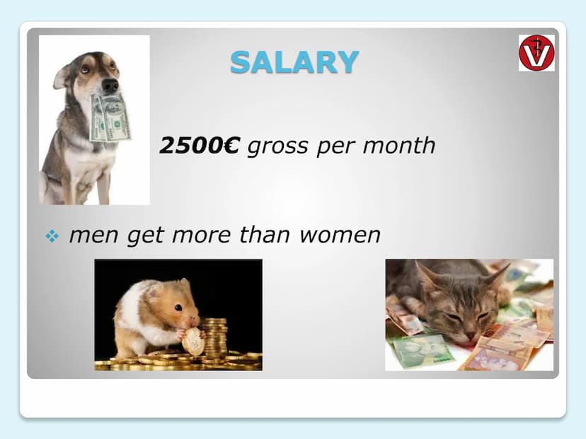 VETERINARIAN
(vet)
ERSTE HILFE tasks
where they do it
every day life
clothes
salary
requirements
university education
CONTENTS
THEME
LAYER
1