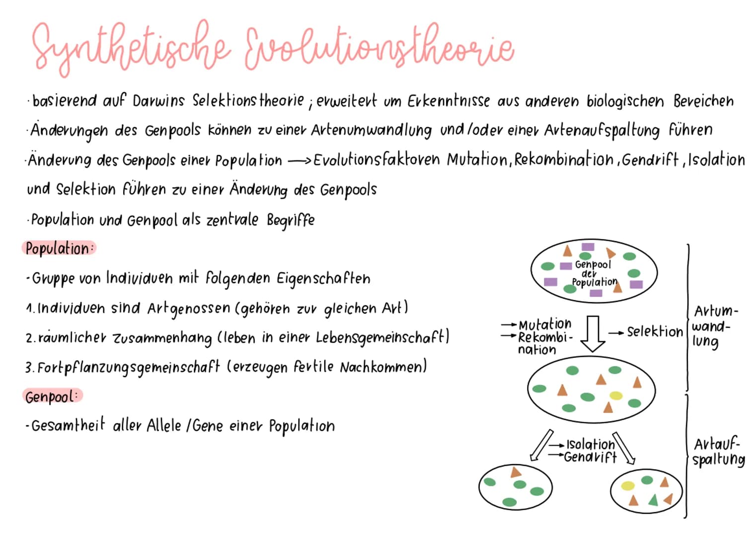 Synthetische Evolutions theorie
·basierend auf Darwins Selektionstheorie; erweitert um Erkenntnisse aus anderen biologischen Bereichen
Ander