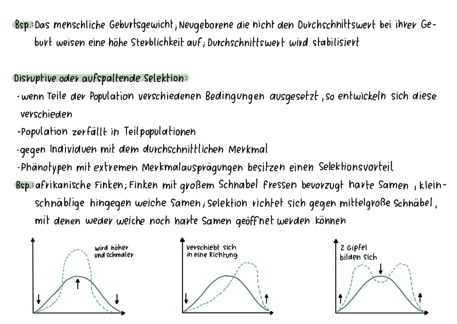 Synthetische Evolutions theorie
·basierend auf Darwins Selektionstheorie; erweitert um Erkenntnisse aus anderen biologischen Bereichen
Ander