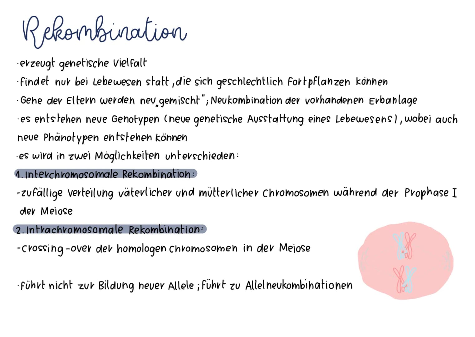 Synthetische Evolutions theorie
·basierend auf Darwins Selektionstheorie; erweitert um Erkenntnisse aus anderen biologischen Bereichen
Ander