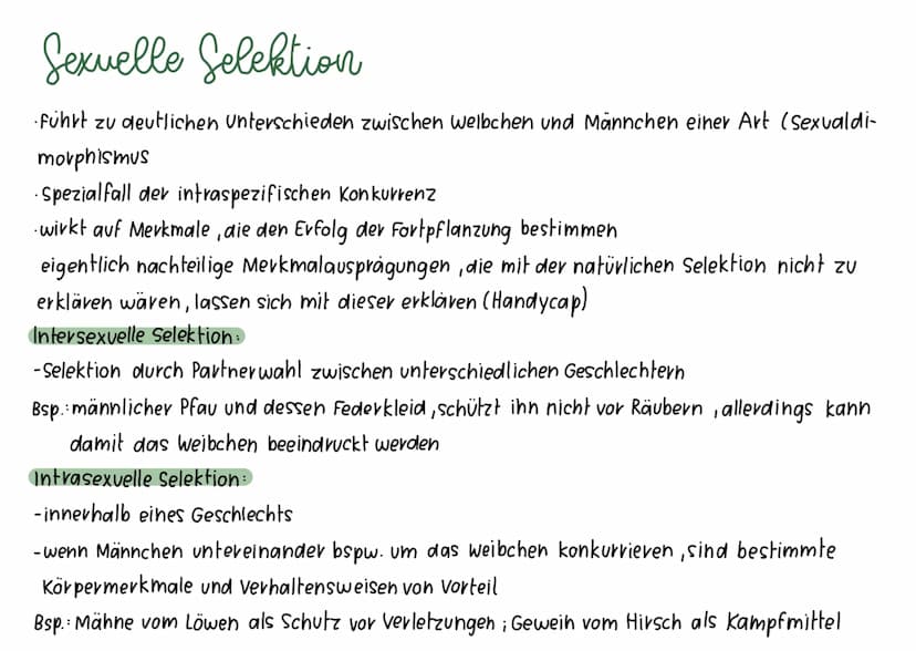 Synthetische Evolutions theorie
·basierend auf Darwins Selektionstheorie; erweitert um Erkenntnisse aus anderen biologischen Bereichen
Ander