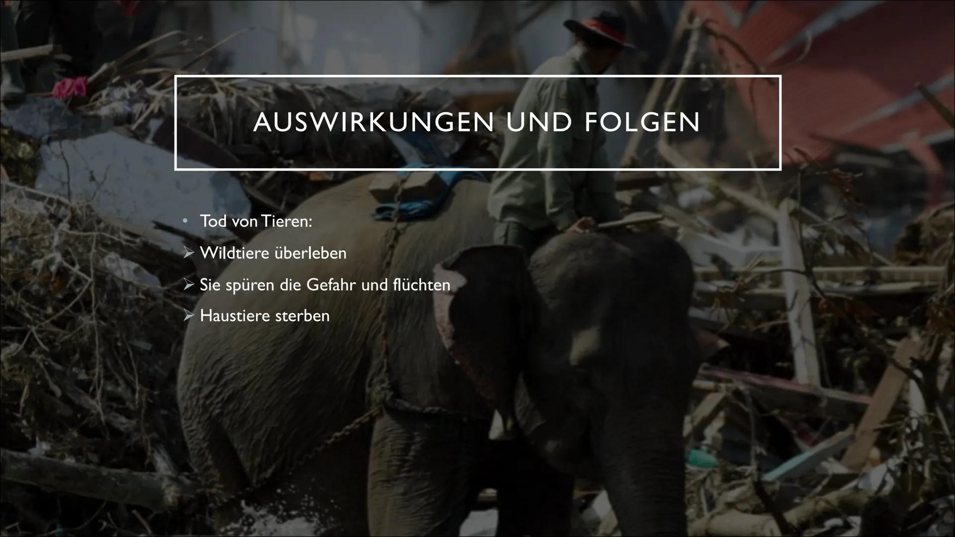 TSUNAMI O
O
-
•
INHALTSVERZEICHNIS
Was ist ein Tsunami?
Wie entstehen Tsunamis?
Vor dem Erdbeben
Während des Erdbebens
Nach dem Erdbeben
Wo 